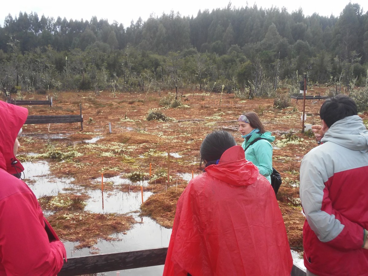 Taller para profesores y guías&nbsp;turísticos