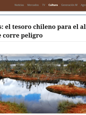 Turberas en El&nbsp;Mostrador