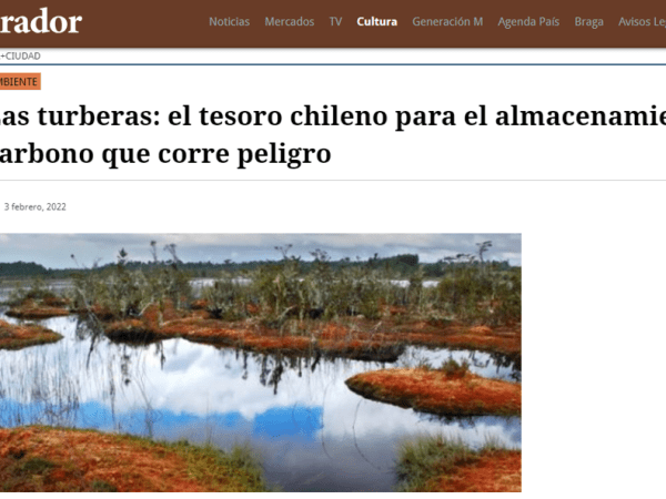 Turberas en El&nbsp;Mostrador